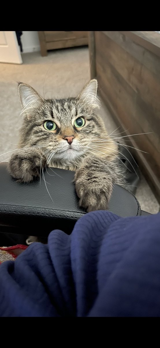 🦇💍💞Cosmo 🎶 tweet media