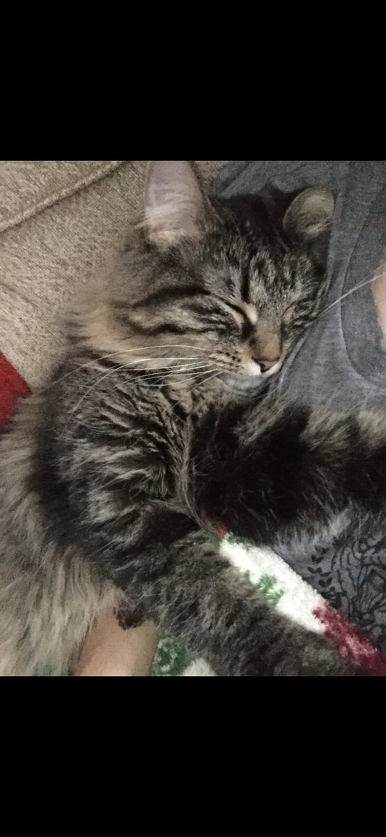 🦇💍💞Cosmo 🎶 tweet media