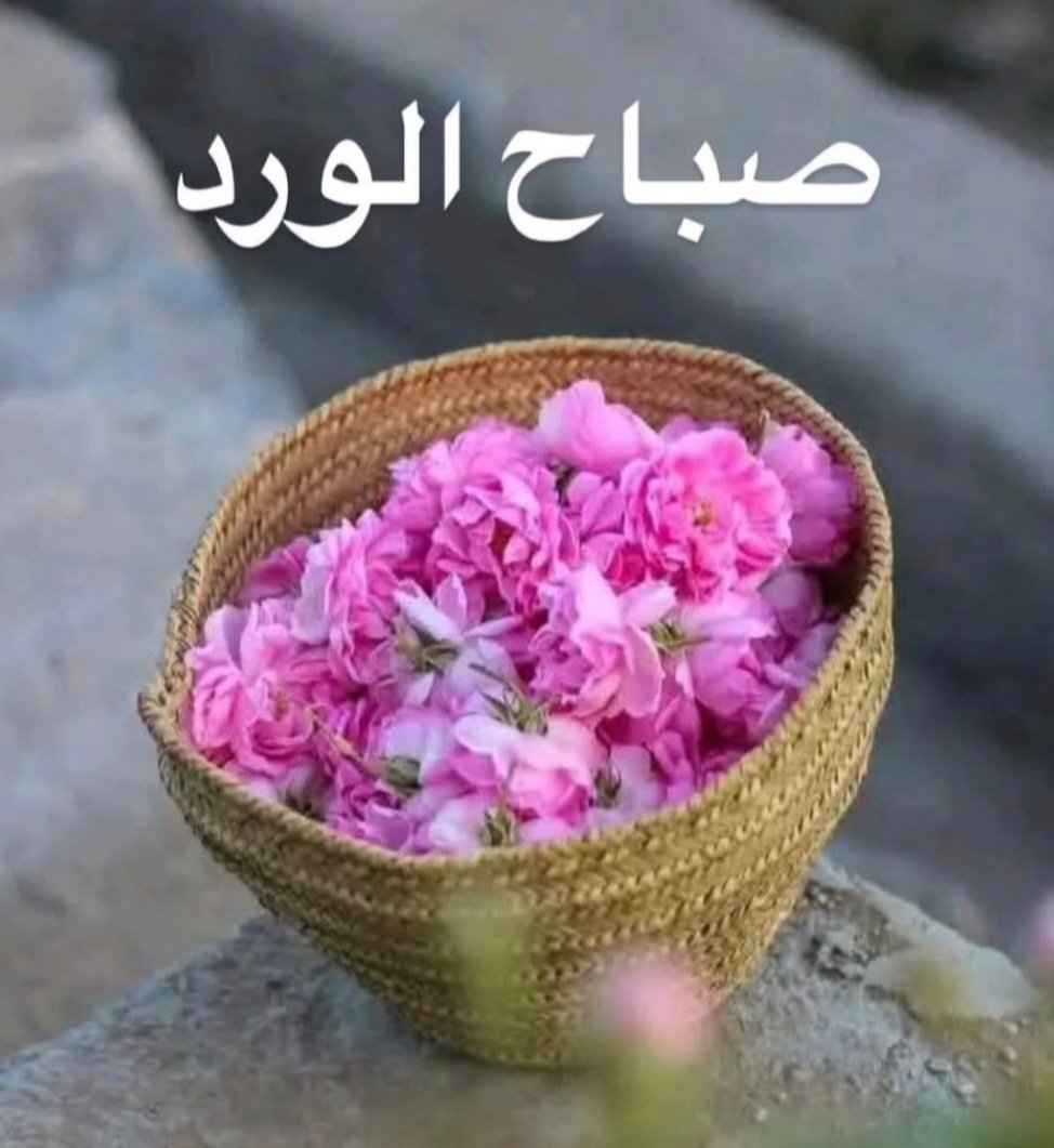 عبدالله الحربي tweet media