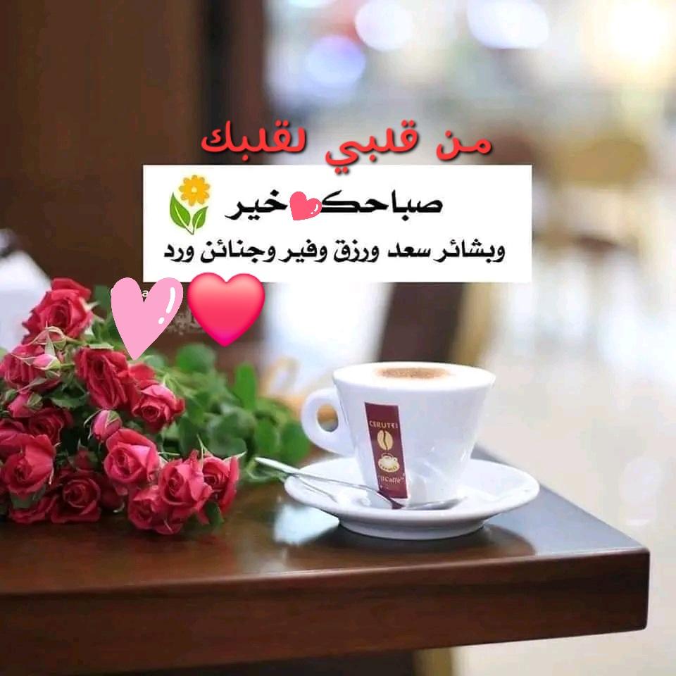 🇺🇸🇶🇦🇴🇲🇩🇿🇯🇴🇧🇭🇦🇪🇸🇦🇰🇼ندى🇱🇧❤ tweet media