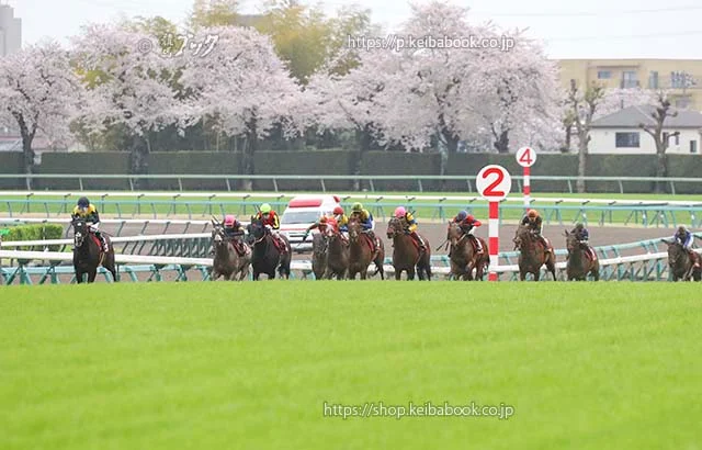 競馬ブック　自由帳 tweet media