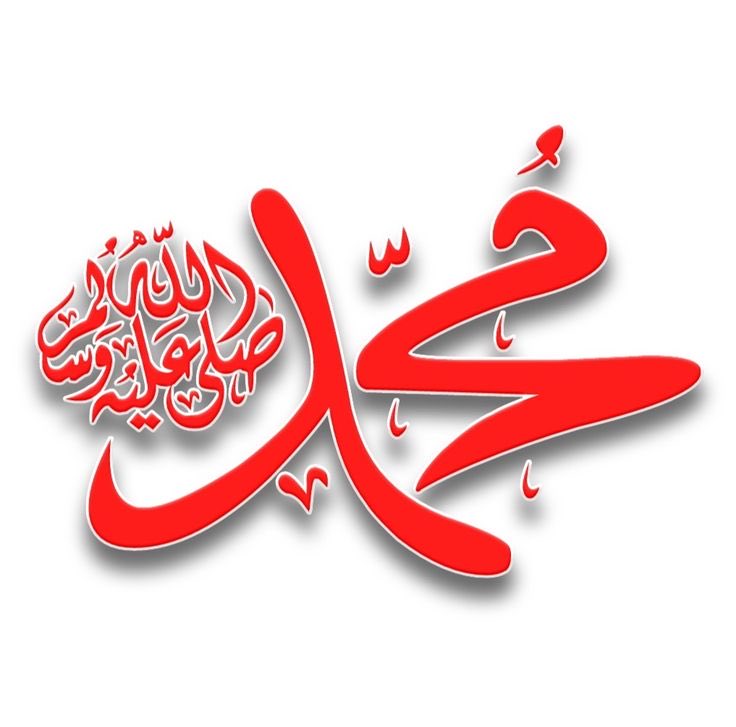 مړې هیلې🦋 tweet media