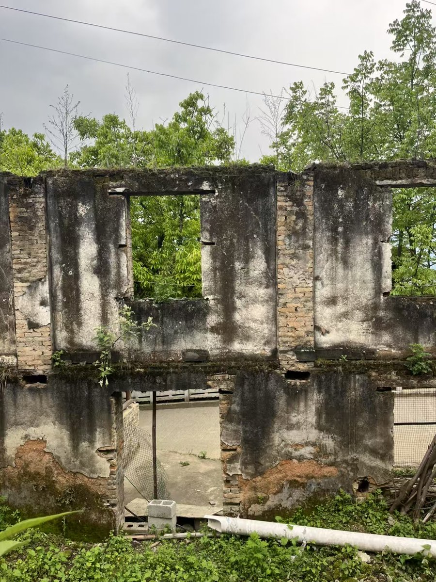 flash.patoche tweet media