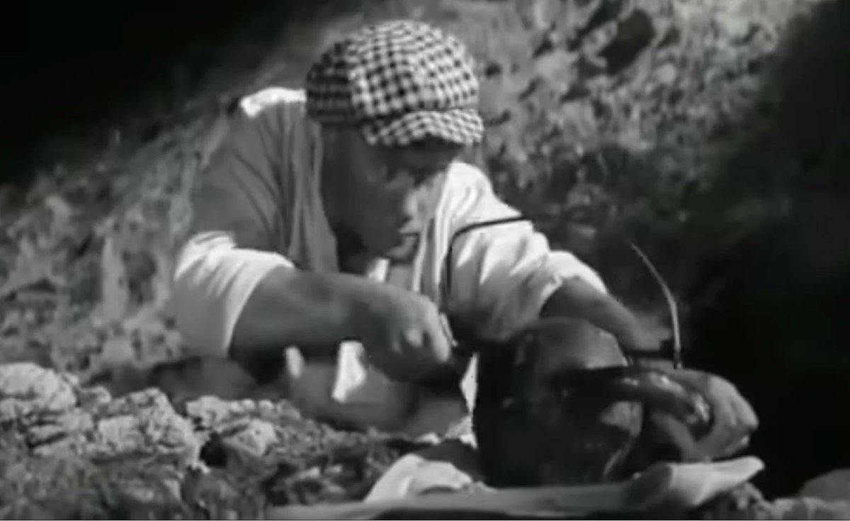 Tim Babych 🇺🇦 tweet media