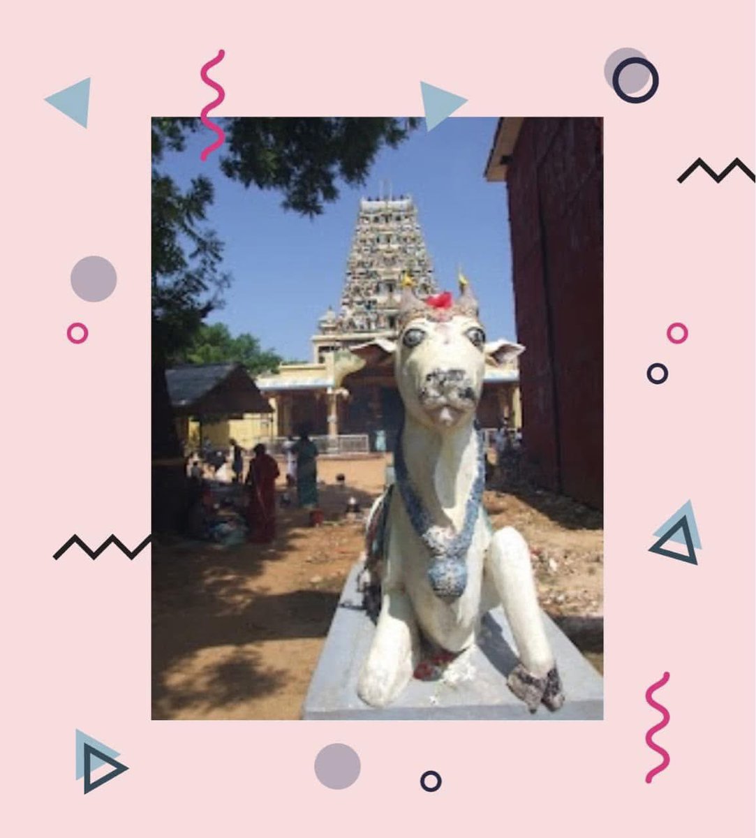 DushiYanthini tweet media