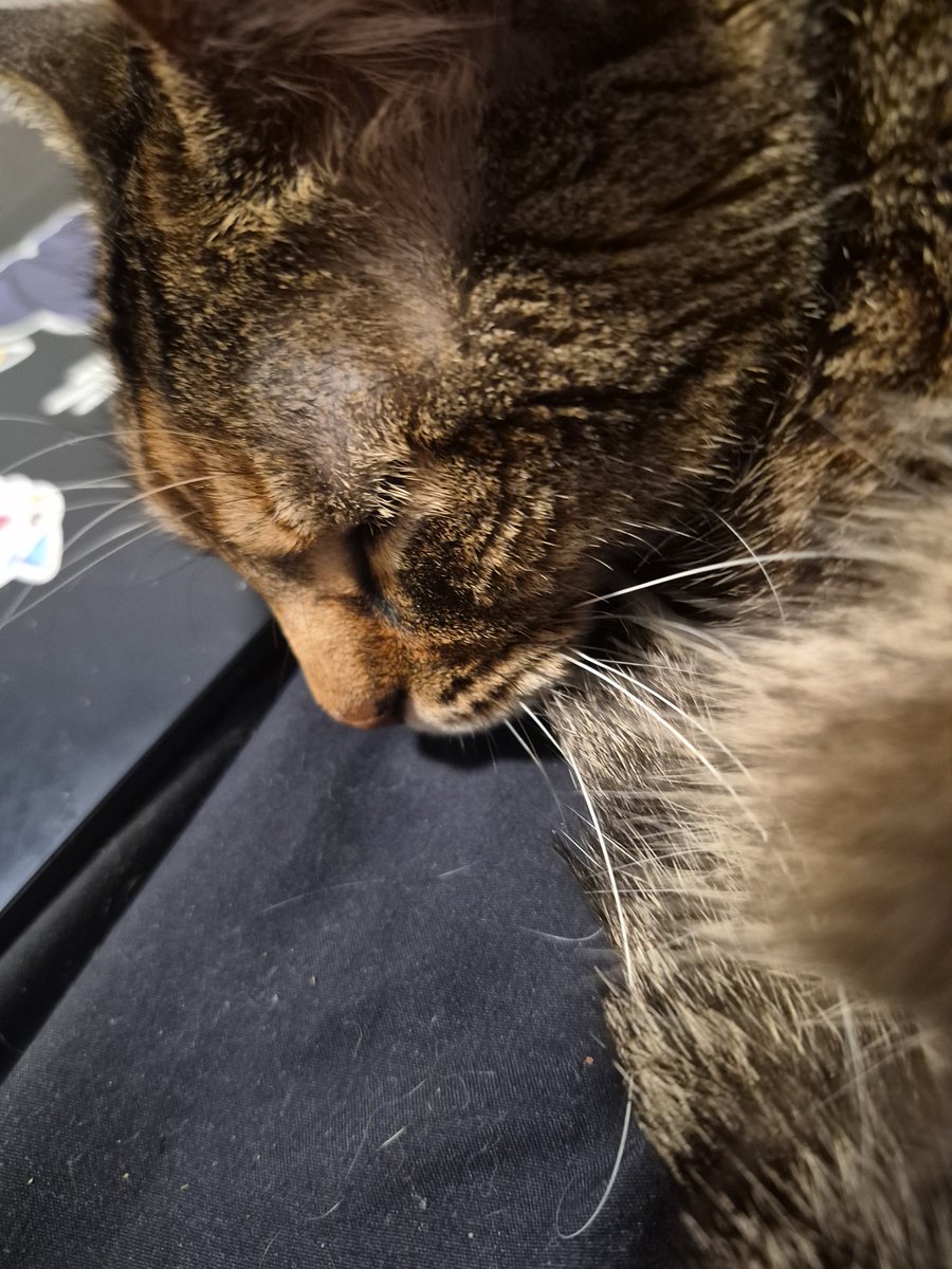 Mia's Magic tweet media