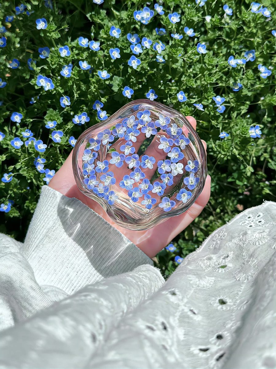 Aesthetics tweet media