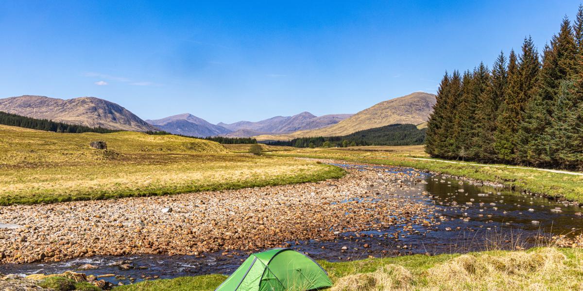 Instituto Mises tweet media