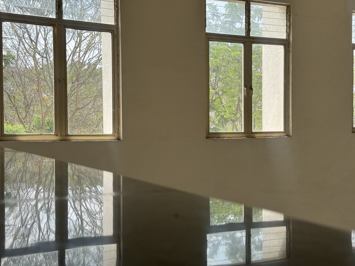 screamingcat 🍉 tweet media