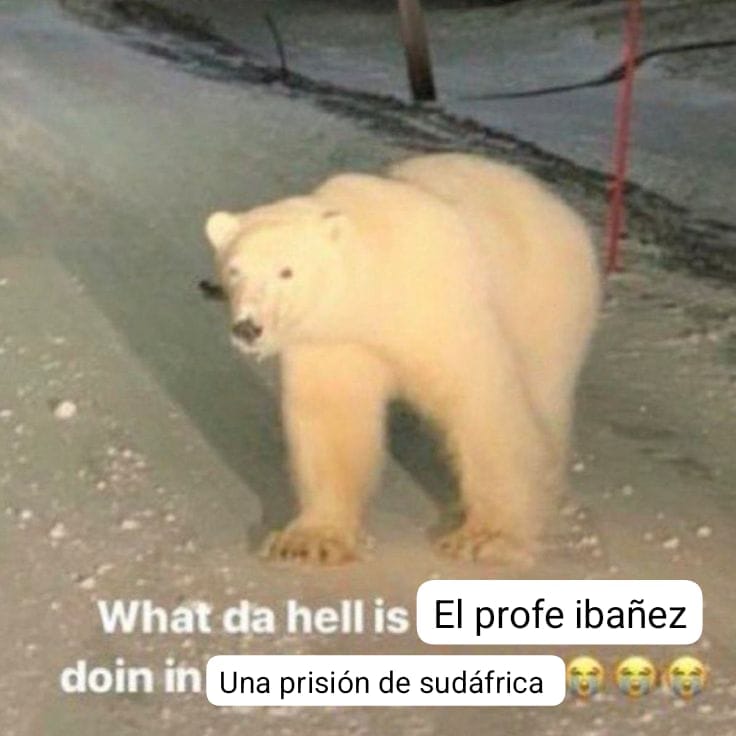 Liga MX Shitposting tweet media