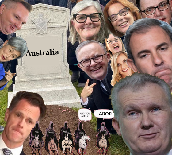 Nostrosmum tweet media