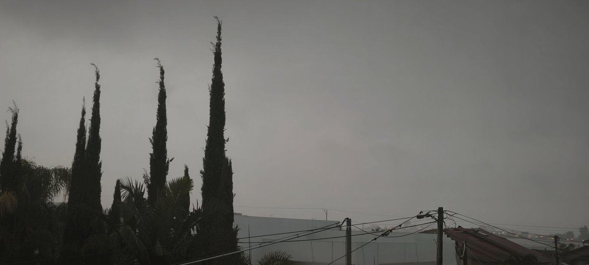 דבורה💚🌳💛🇮🇱 tweet media