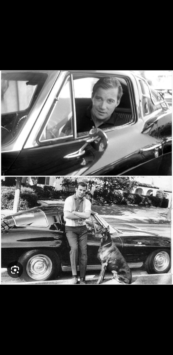 Helmut Steger tweet media