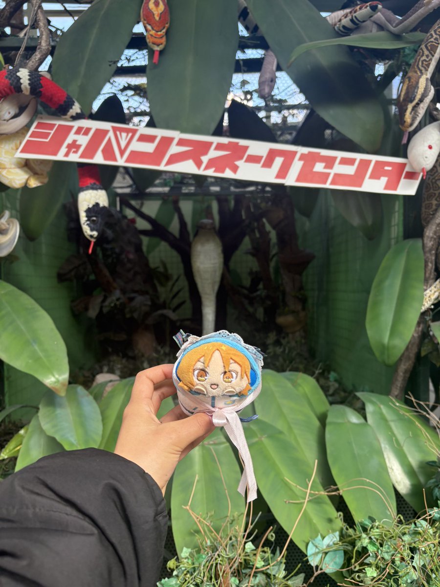 オースケ tweet media