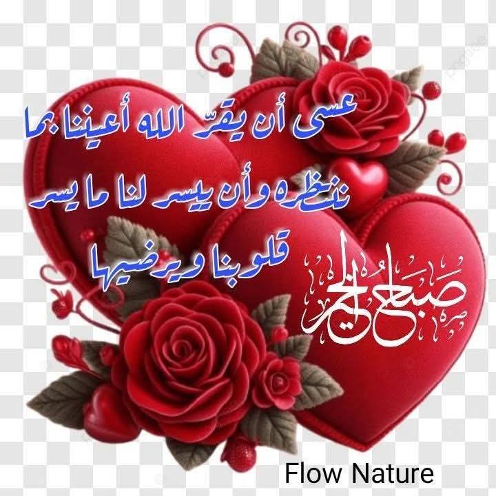 أسامه الاشقر tweet media