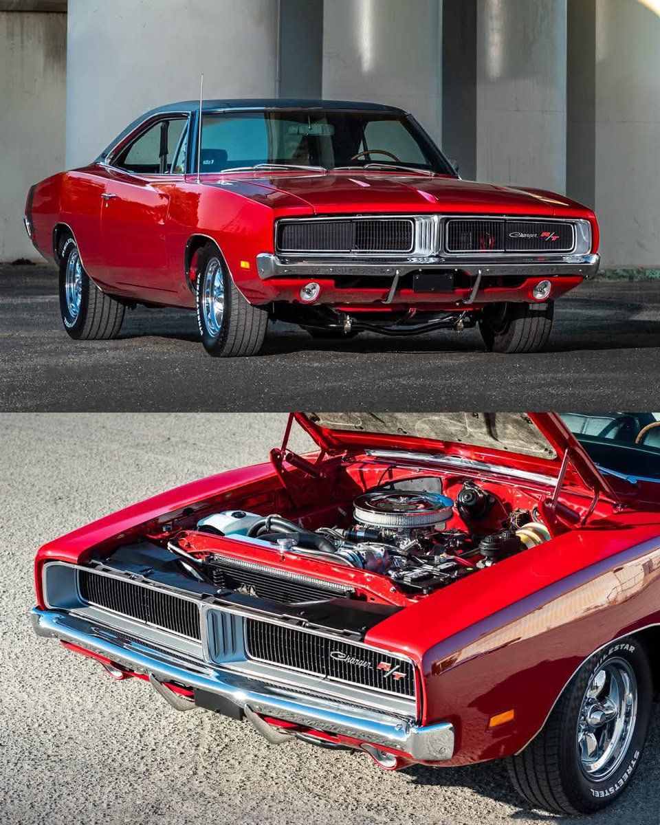 Willy Coyote 5.0 tweet media