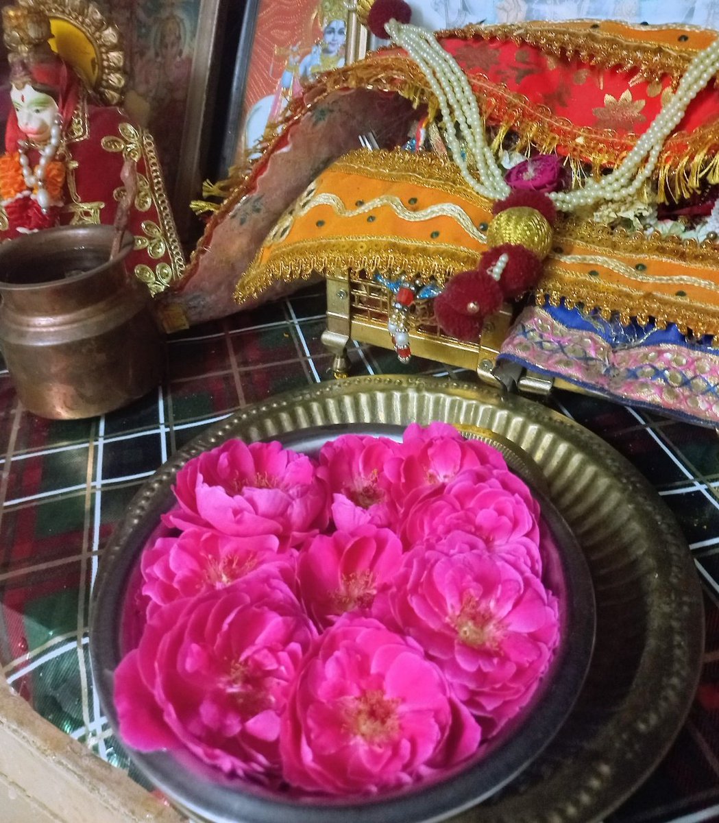 Archana🤍 tweet media