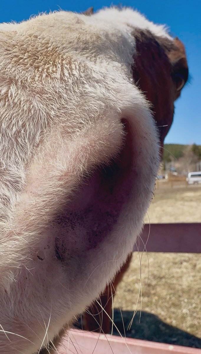 アライン tweet media