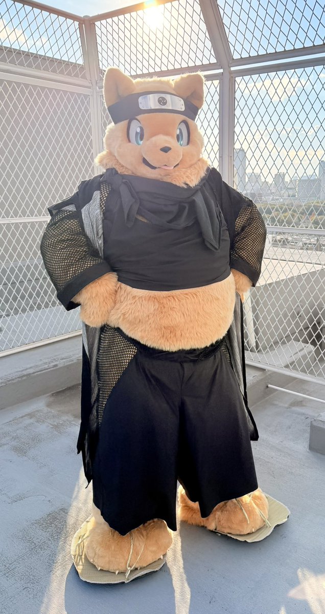 お絵描き系忍者犬Vtuber🥷🐶太影(ふとかげ) tweet media