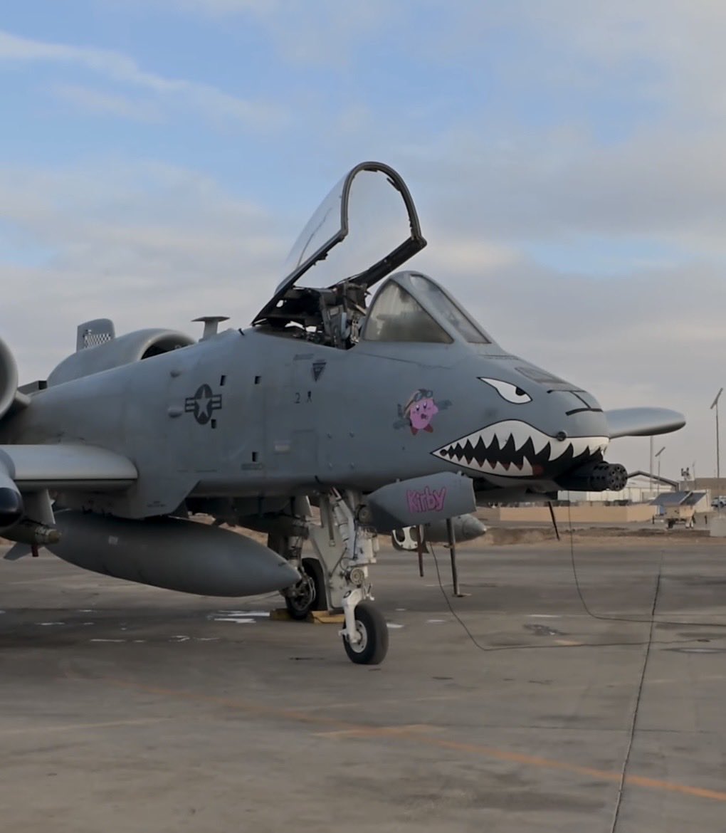 bappyboio tweet media