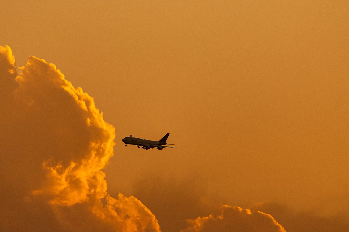 mmora01's tweet photo. #LH498 #B748 final #MMMX @lufthansa #DABYC https://t.co/EPKx3AFlVO