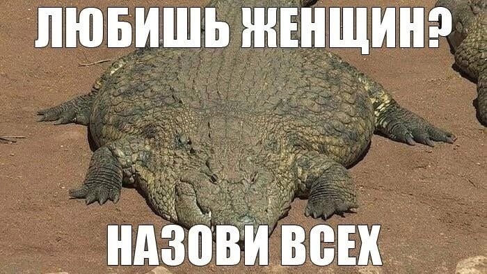 Maria Zaebalova tweet media