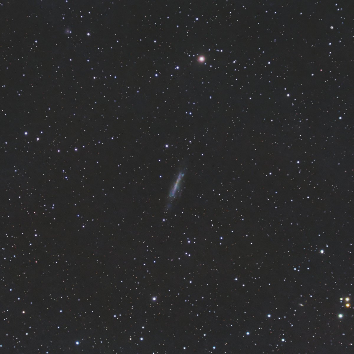 prontof68's tweet photo. NGC4236@りゅう座...玄関先でもお目にかかれるとは...
最新デジタル画像処理技術で、機材・環境のハンデを取り繕うのも一興...
収差だらけのあま~い星像や非冷却カメラのノイズにはAIパワーも使いよう...
#NGC4236 #TeleVuePronto #MeadeSCTReducer #SV231 #Siril #Affinity #2度視野 #天体写真 https://t.co/gZHUqSTm0t