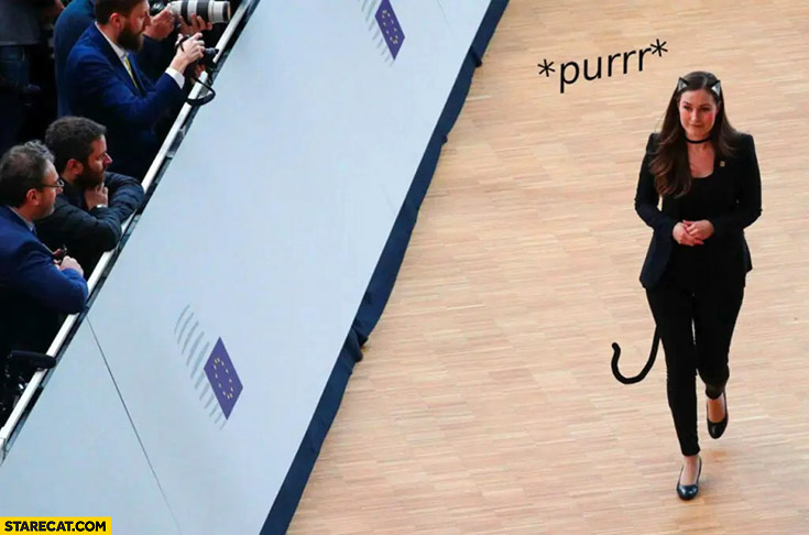 DerEnte 🍍🛡️ tweet media