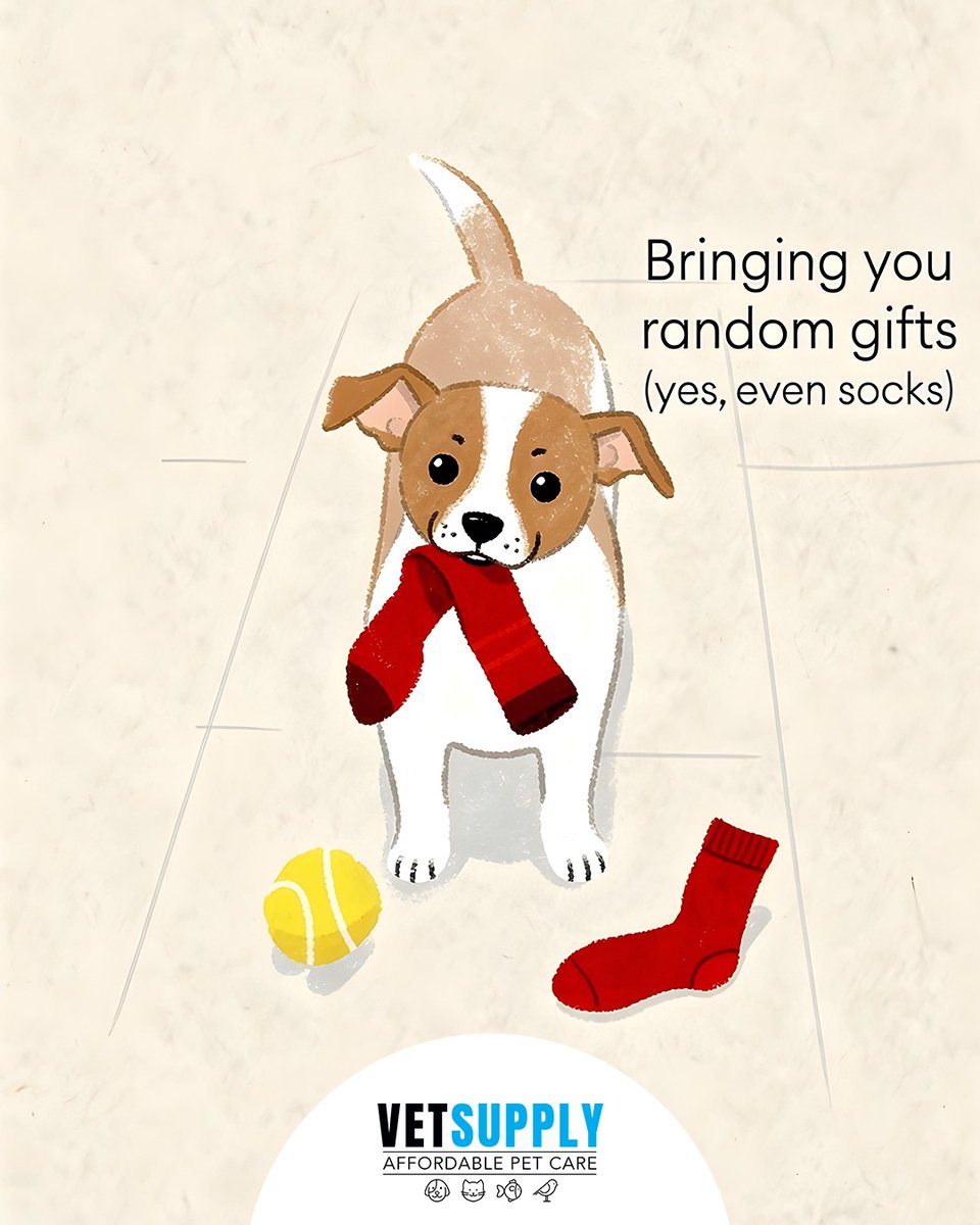 vetsupplyau's tweet photo. Love isn’t just something we say — it’s in every joyful tail wag, warm cuddle, and goofy smile they gift us. 🐾💛

#vetsupply #vetsupplyau #petlove #doglove #catlove #furbaby #petparents #petsofinstagram #dogsofinstagram #catsofinstagram #petlife #animallovers #tailwags https://t.co/eDPIaHALJg