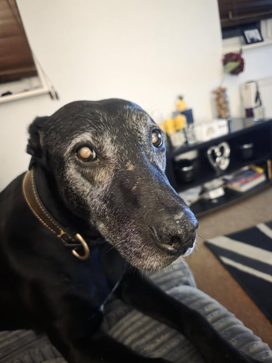 Sara Mary ⭐❤️ tweet media