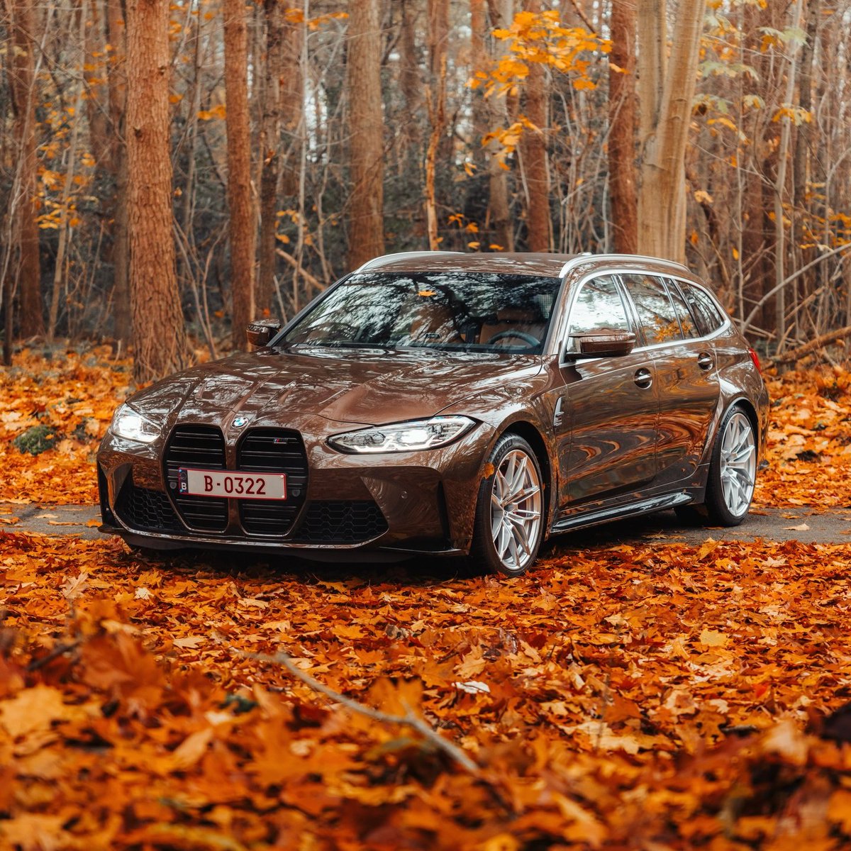 Throttle Cars tweet media