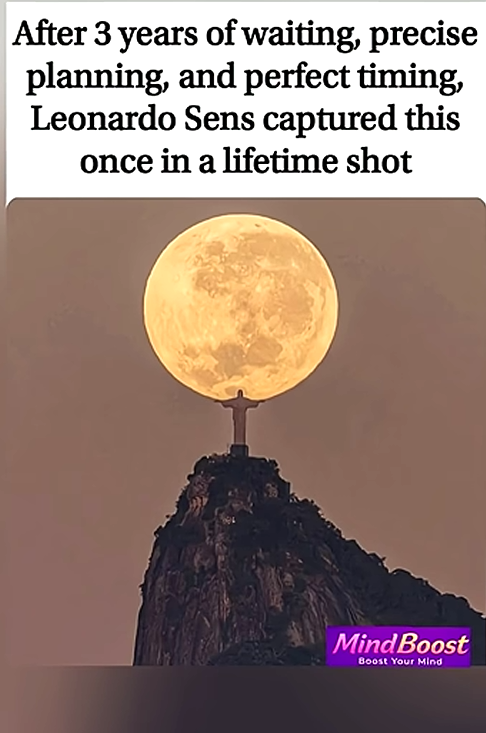 JesTer396 🏴☠️ tweet media