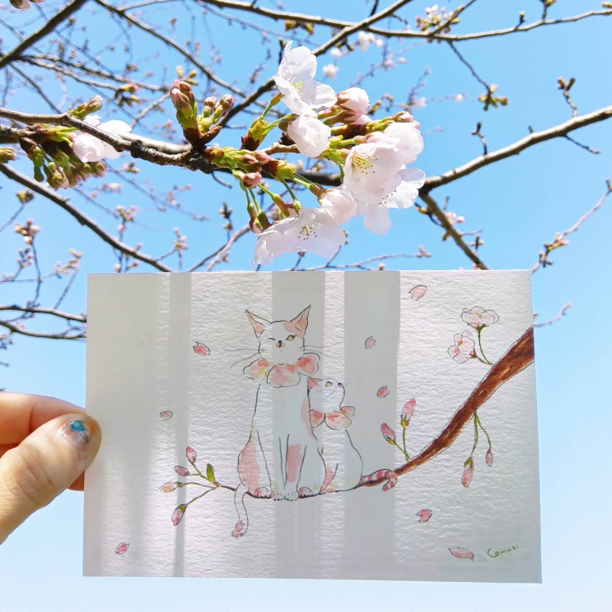 かわいい動物ポストカード - アクティブコーポレーション tweet media