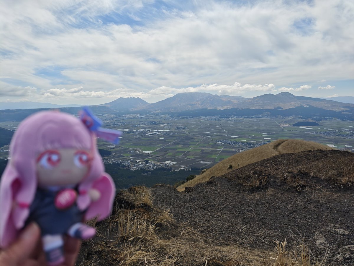 (ぽん) tweet media