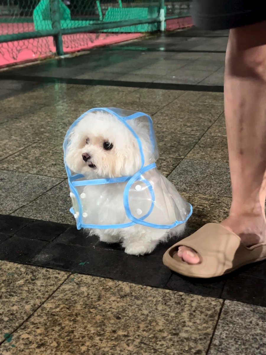 Charlie Wade tweet media