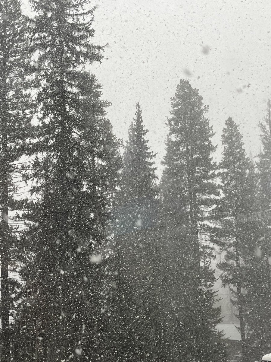 Isaac Dyck tweet media