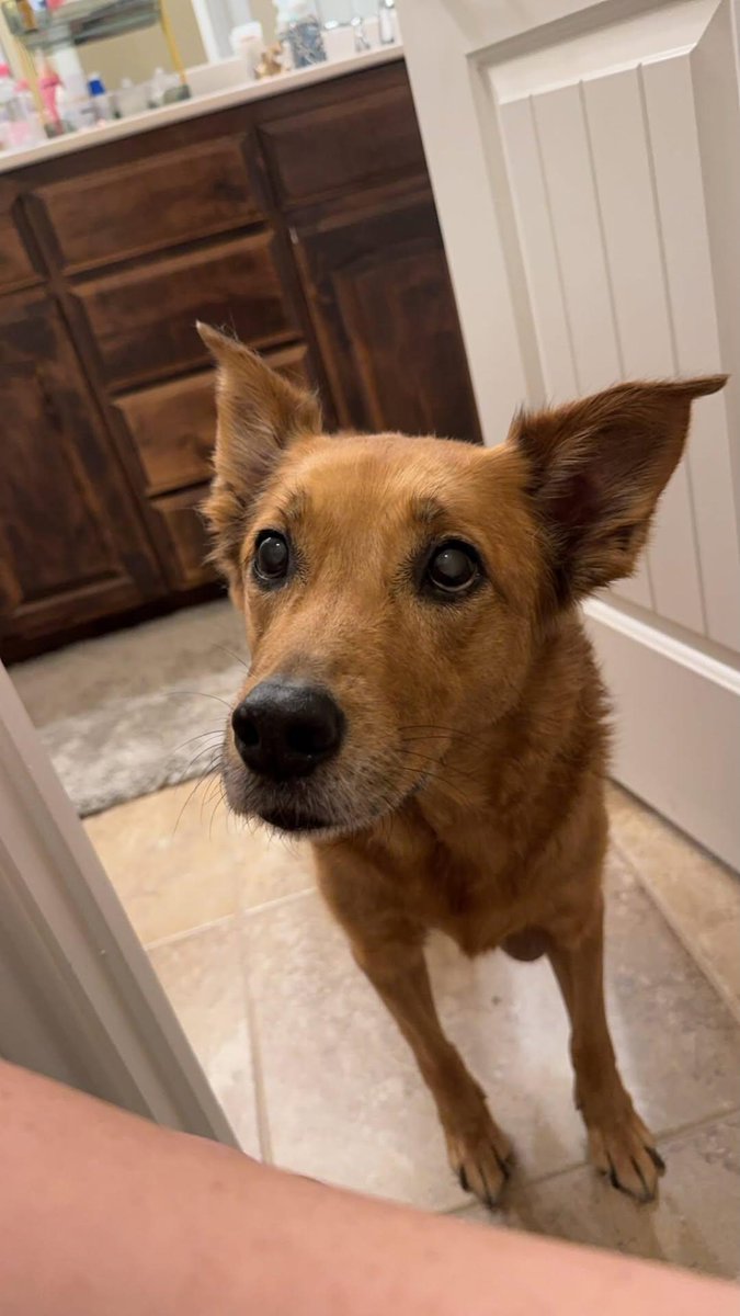 Sara Mary ⭐❤️ tweet media