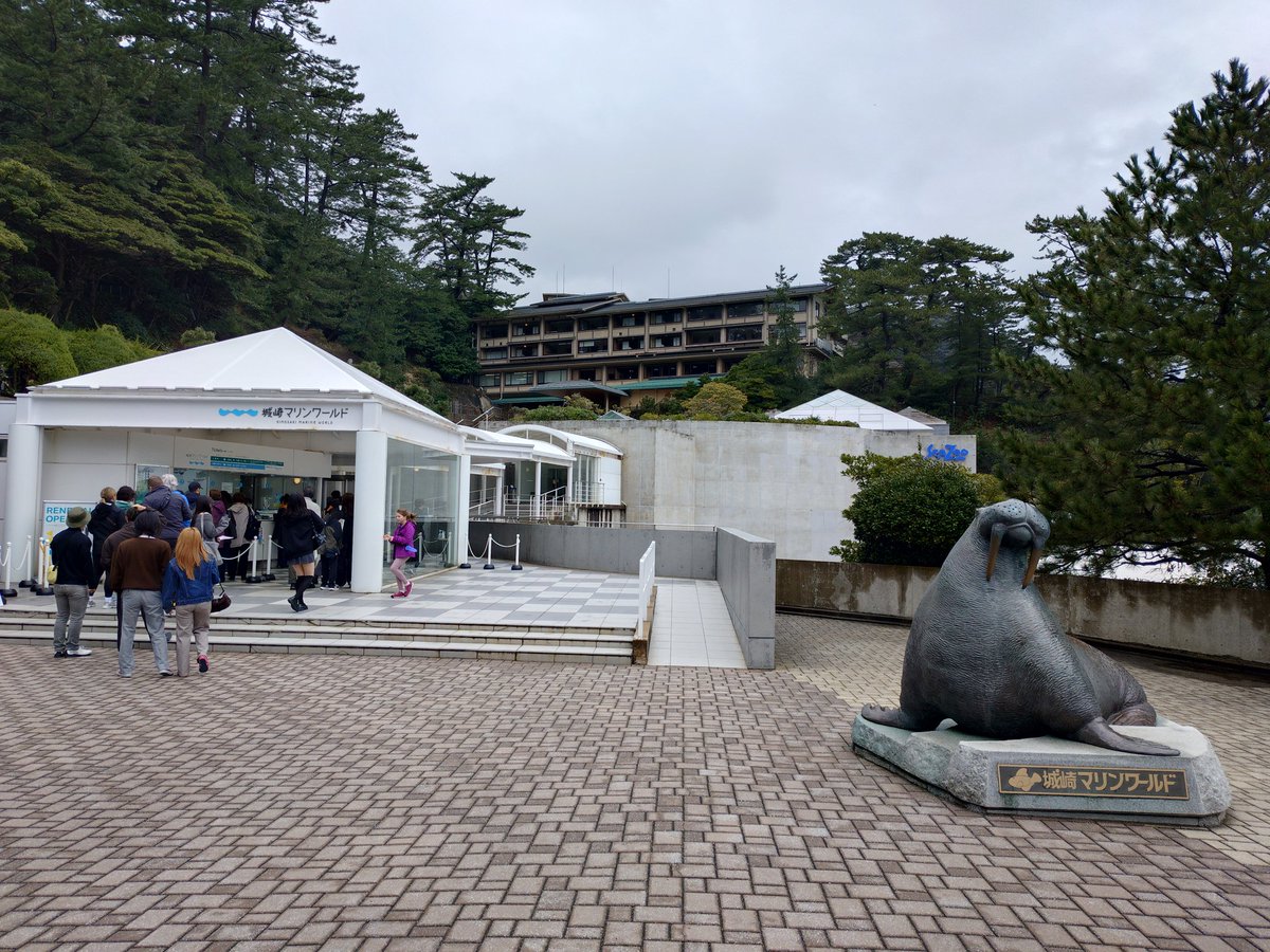 しゃけほいほい tweet media