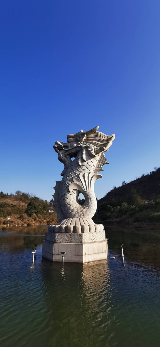 Abbie Robinson tweet media