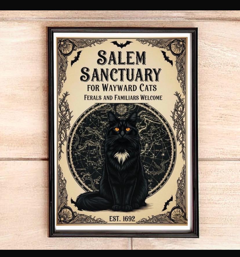 CoseyCollection's tweet photo. https://t.co/7KhTa73Ia6 🧙‍♀️🐈‍⬛ https://t.co/slI1RkaYp0