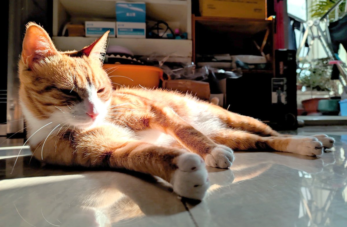 Deewoone tweet media