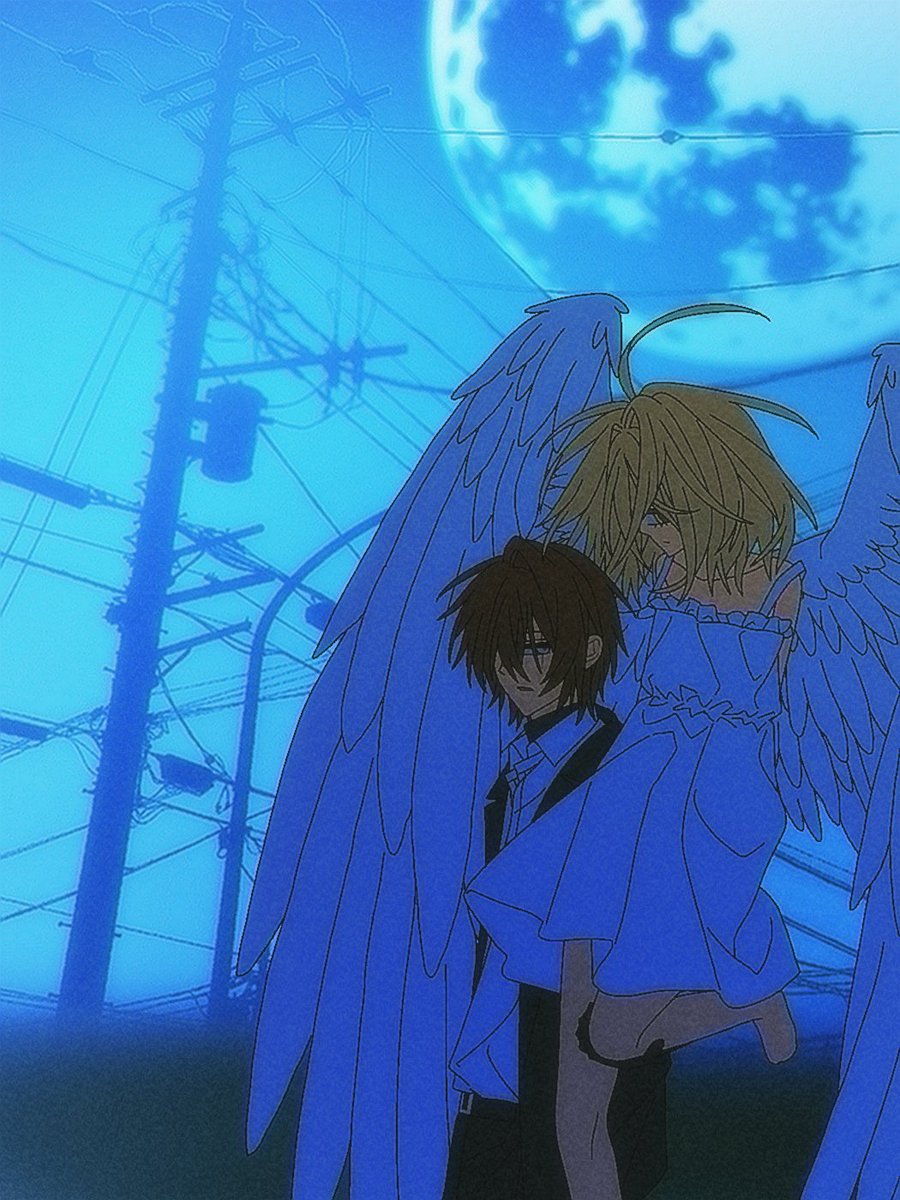 🌮🦓 tweet media