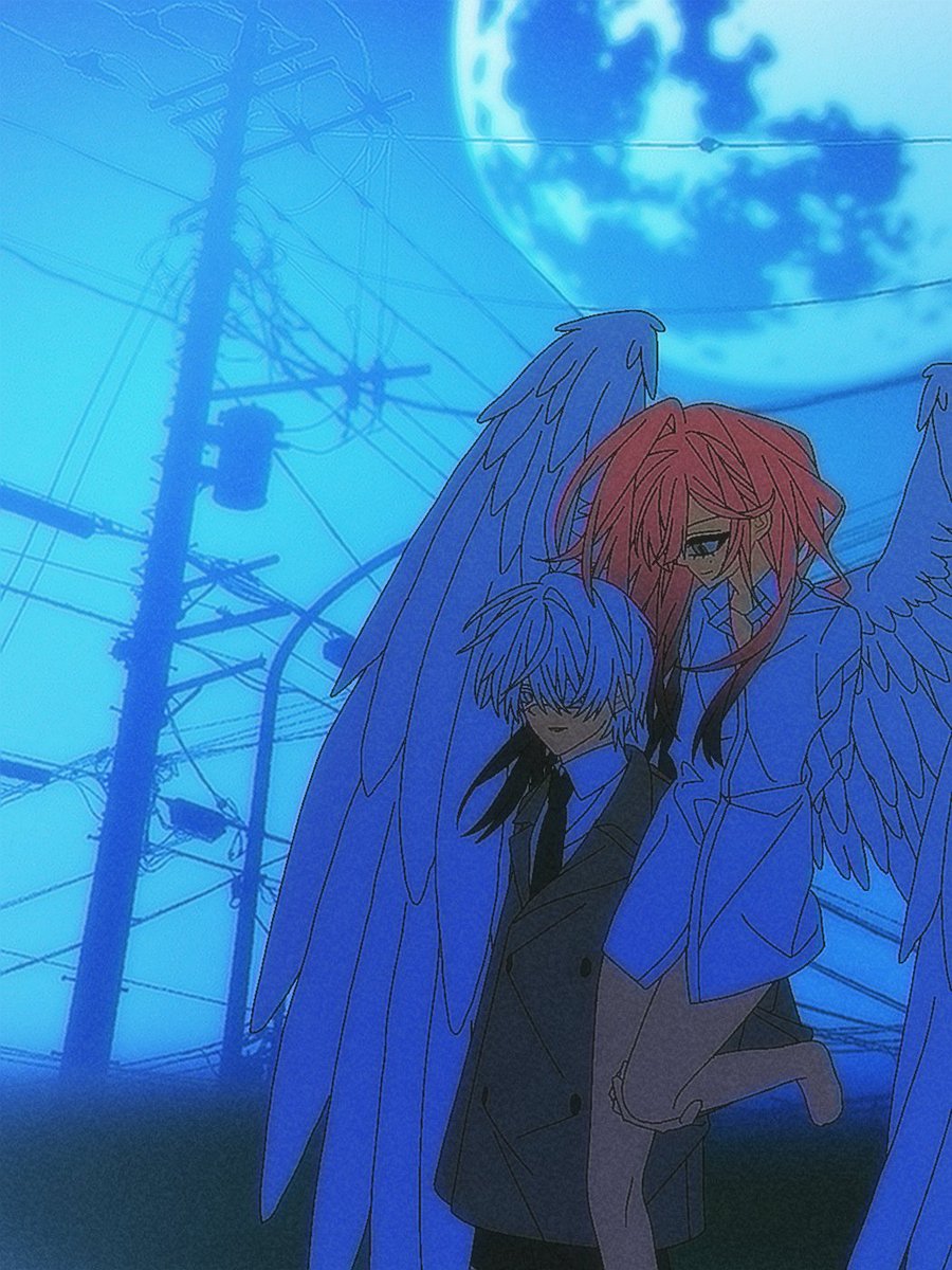 🌮🦓 tweet media