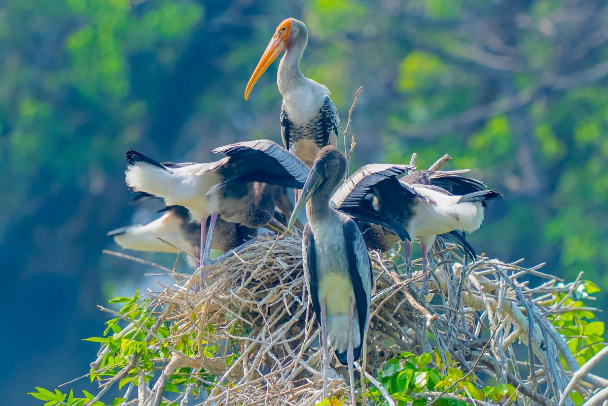 Aniket 🏳️🌈🏳️⚧️(he/him) tweet media