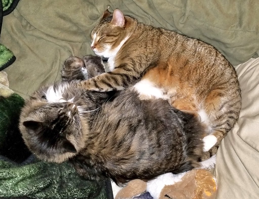 Ray Radlein tweet media