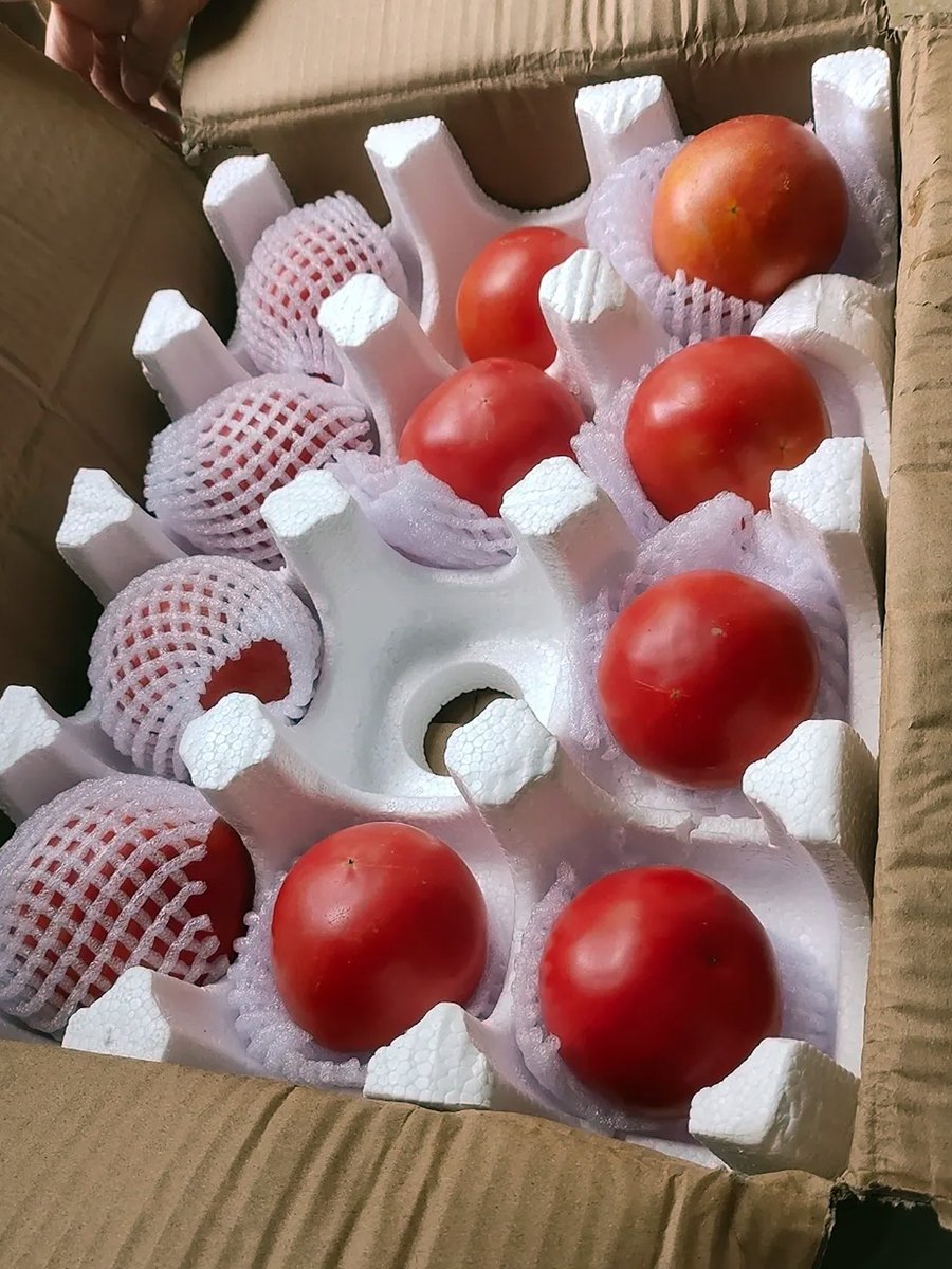 KASH!F ZULF!QAR tweet media