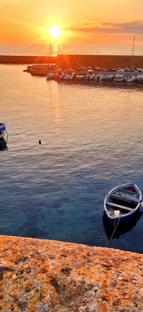 @antonellamalu4 tweet media