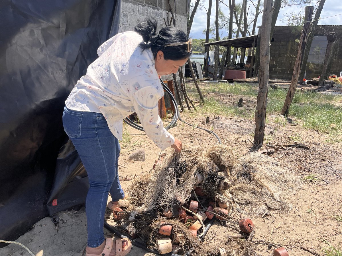 Dulce Olvera tweet media