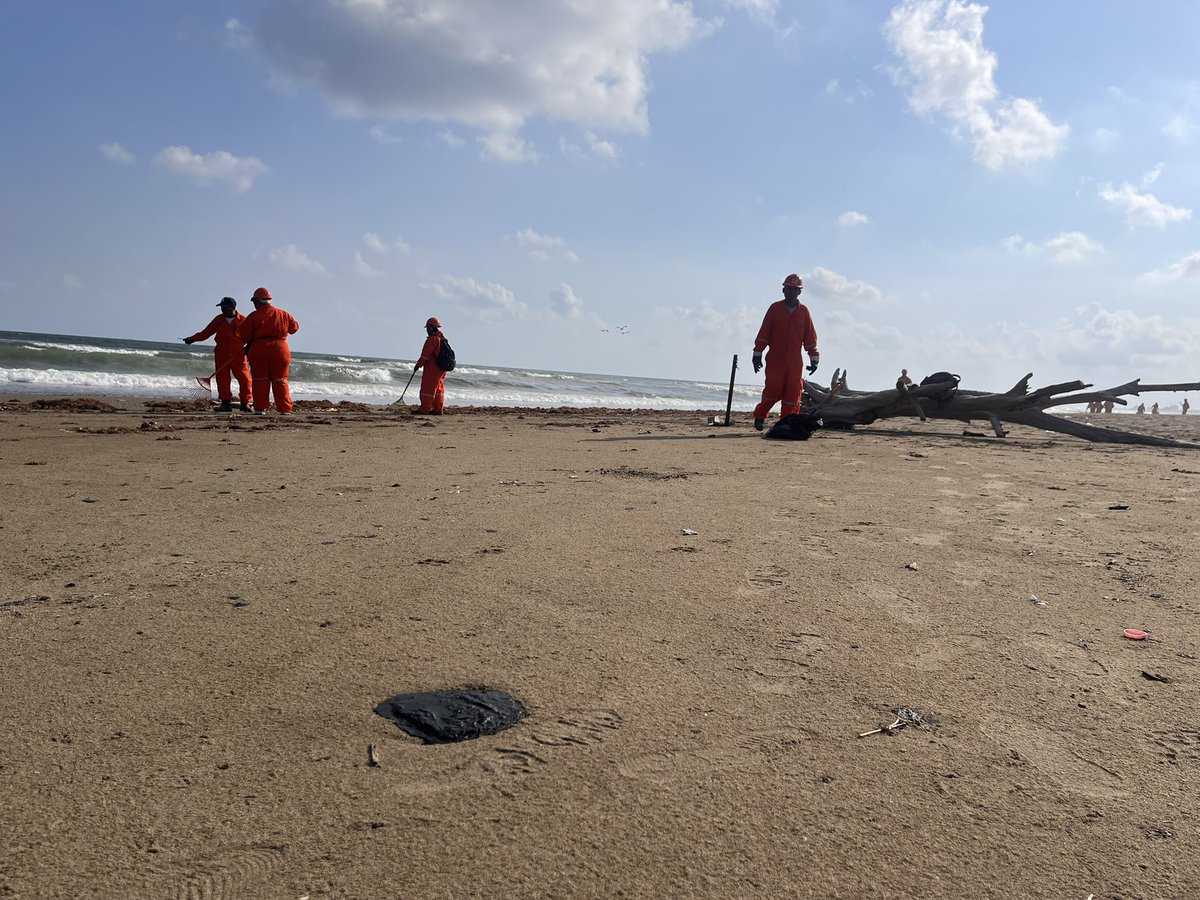 Dulce Olvera tweet media