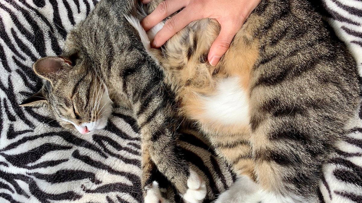 Brian Leaf tweet media